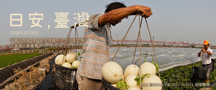 365 日安，臺灣之2018年3月28日